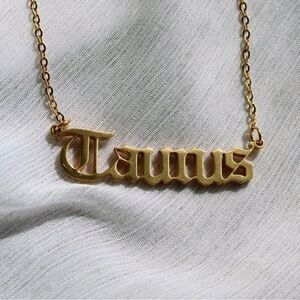 Taurus Stainless Steel Gold Tone Zodiac Sign Necklace